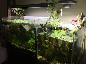 Aquariums gallery image